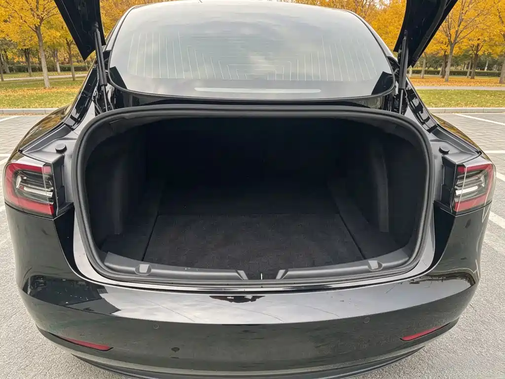 Tesla Model 3 — миниатюра 11