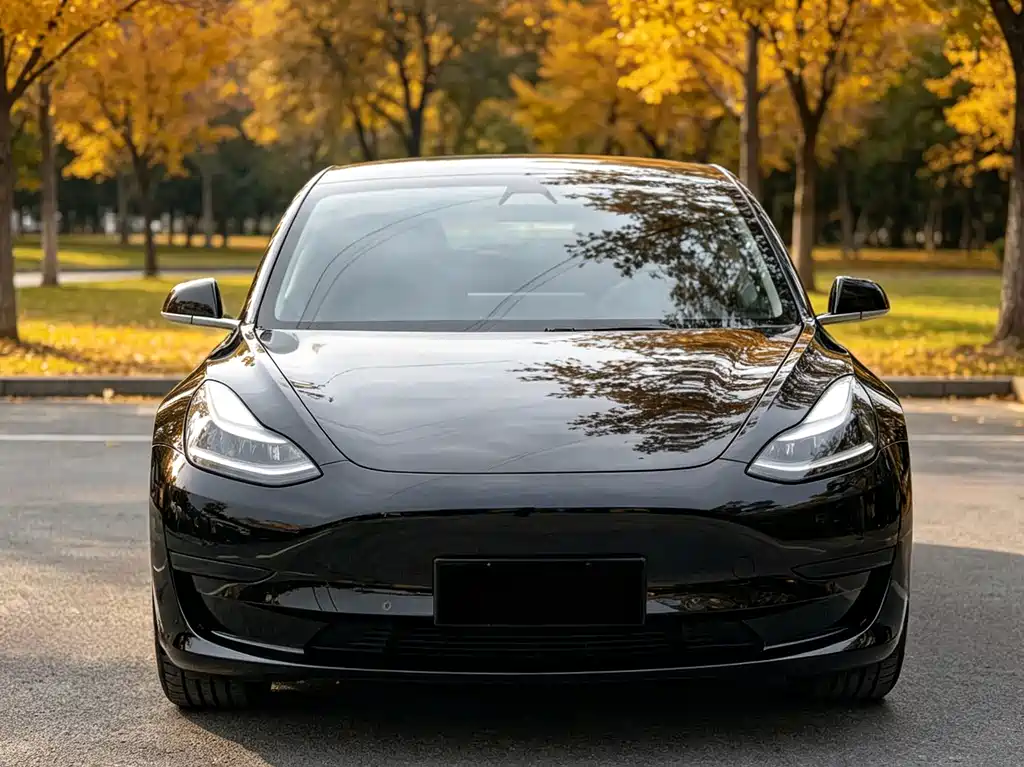 Tesla Model 3 — миниатюра 2