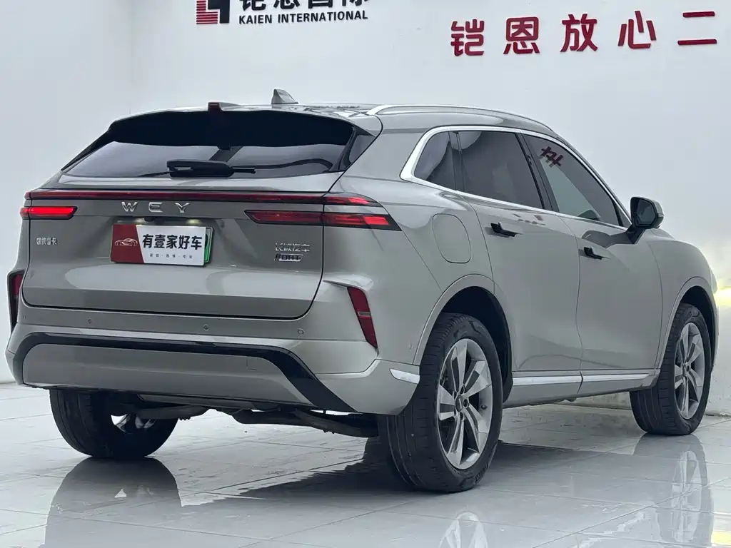 WEI PAI WEI BRAND MOCHA NEW ENERGY