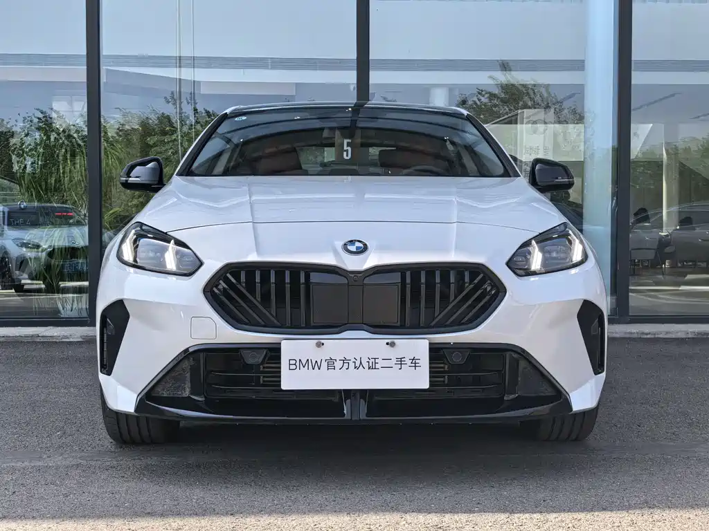 BMW 2 Series 225L M Sport Night Package, фото 2
