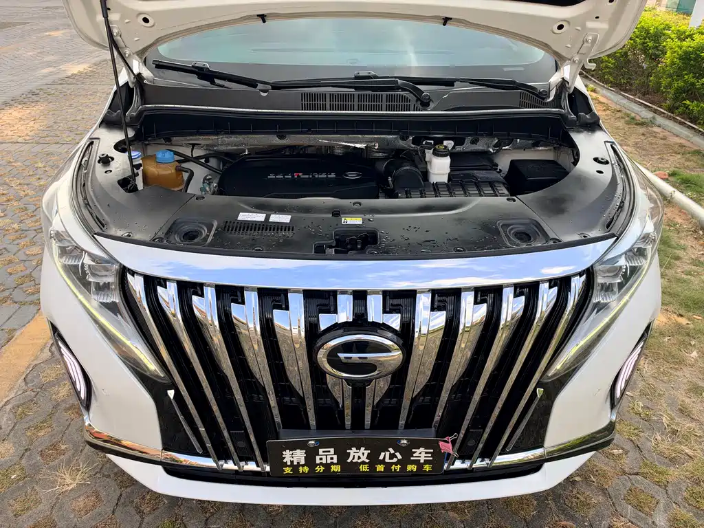 GAC Motor Trumpchi M8 — миниатюра 10