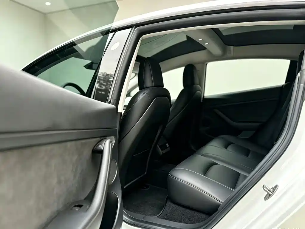 Tesla Model 3 — миниатюра 6
