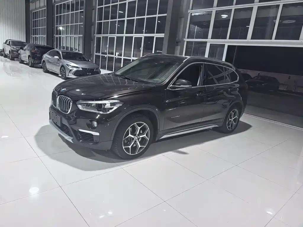 BMW X1 — миниатюра 2