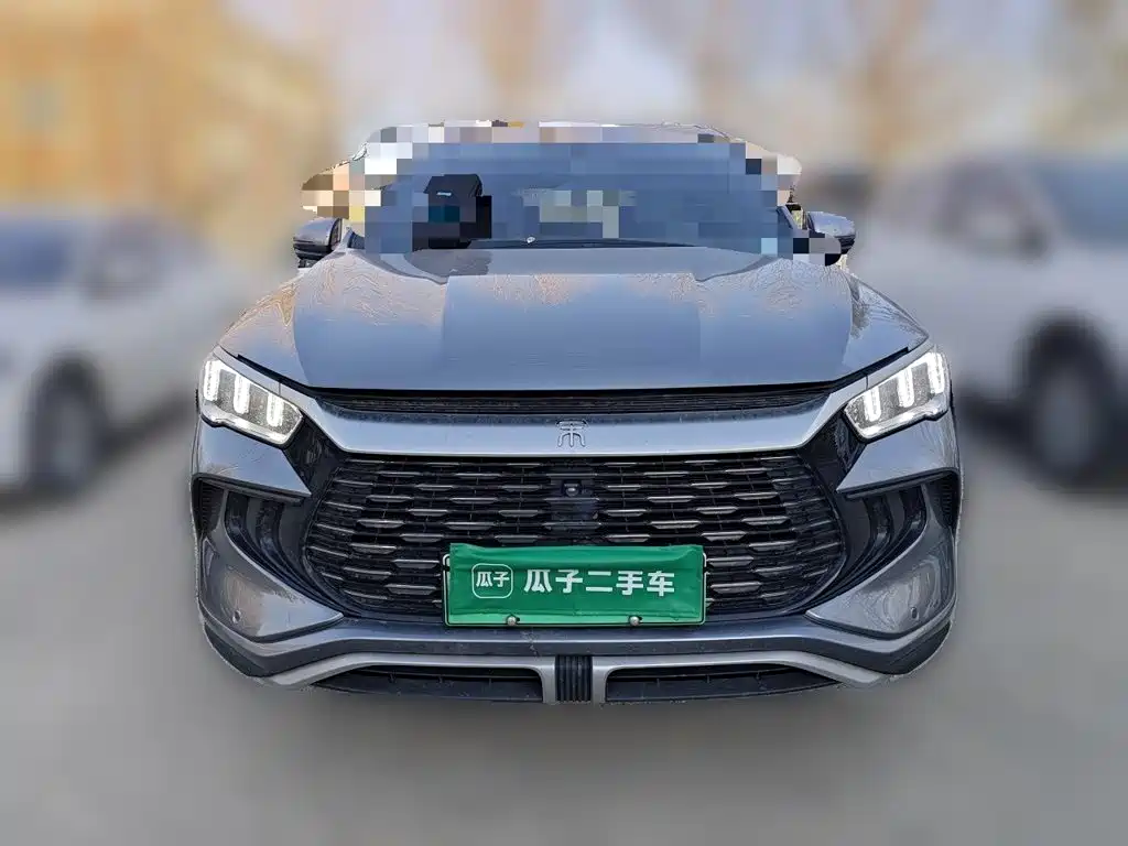 BYD Pro New Energy — миниатюра 2