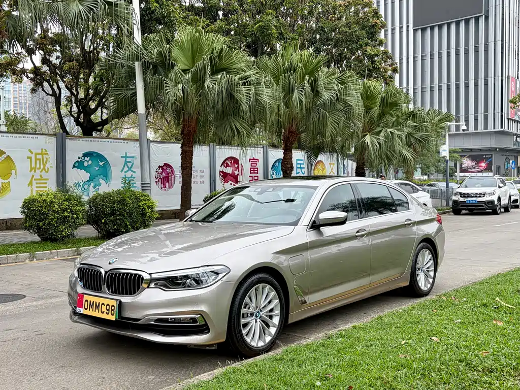 BMW 5 Series New Energy 2019