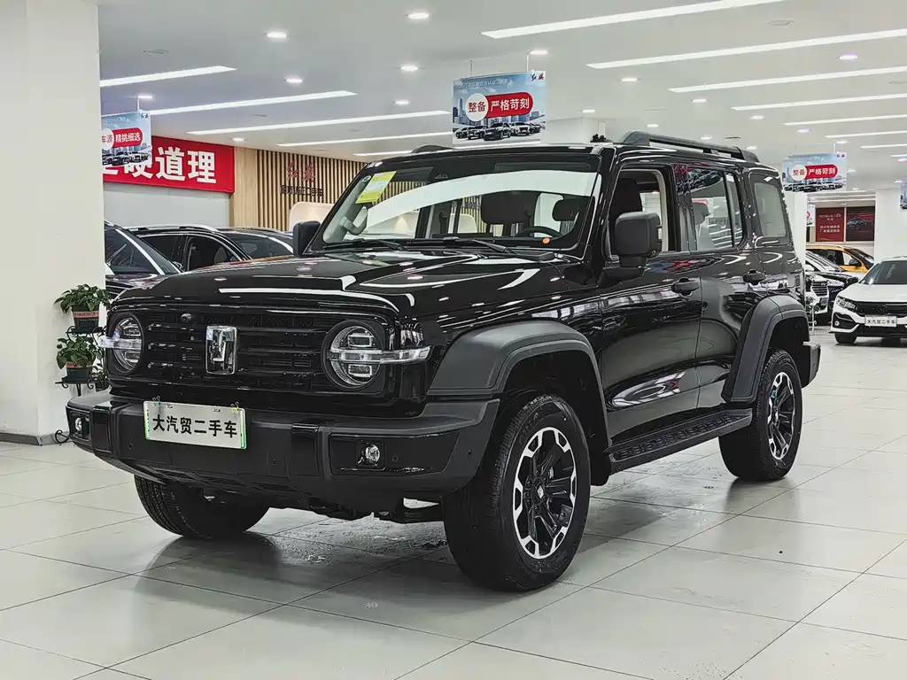 TANK TANK 300 NEW ENERGY