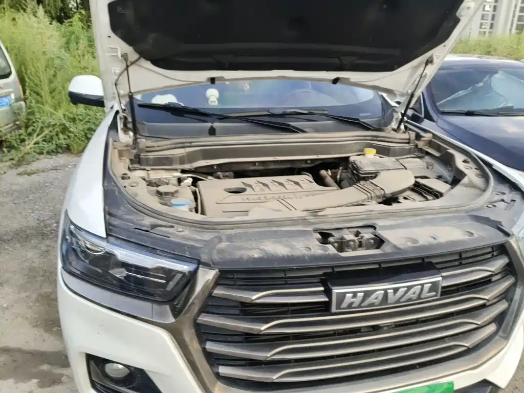 Haval H6 — миниатюра 19