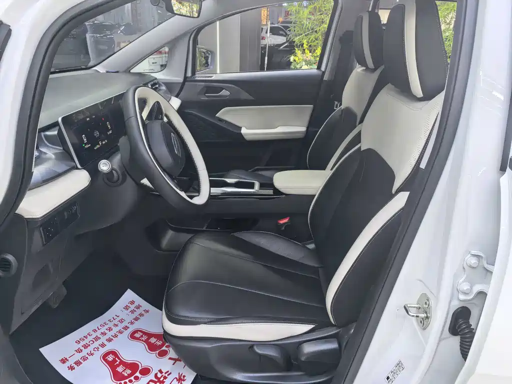 GEELY GEOMETRY E FIREFLY