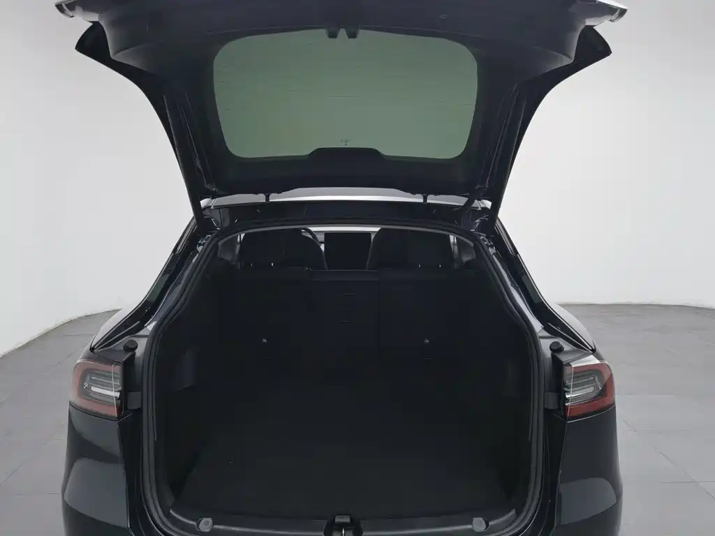 Tesla Model Y — миниатюра 16