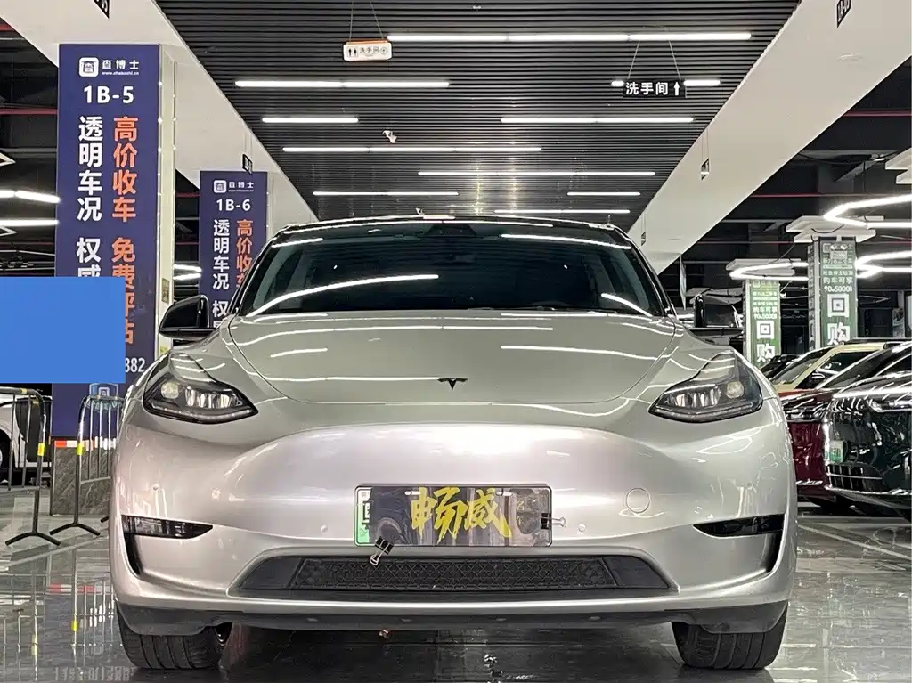 Tesla Model Y — миниатюра 2