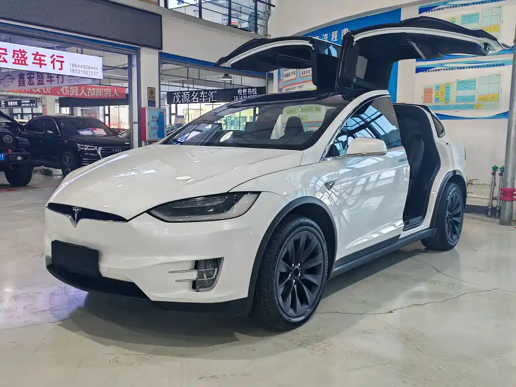 TESLA MODEL X