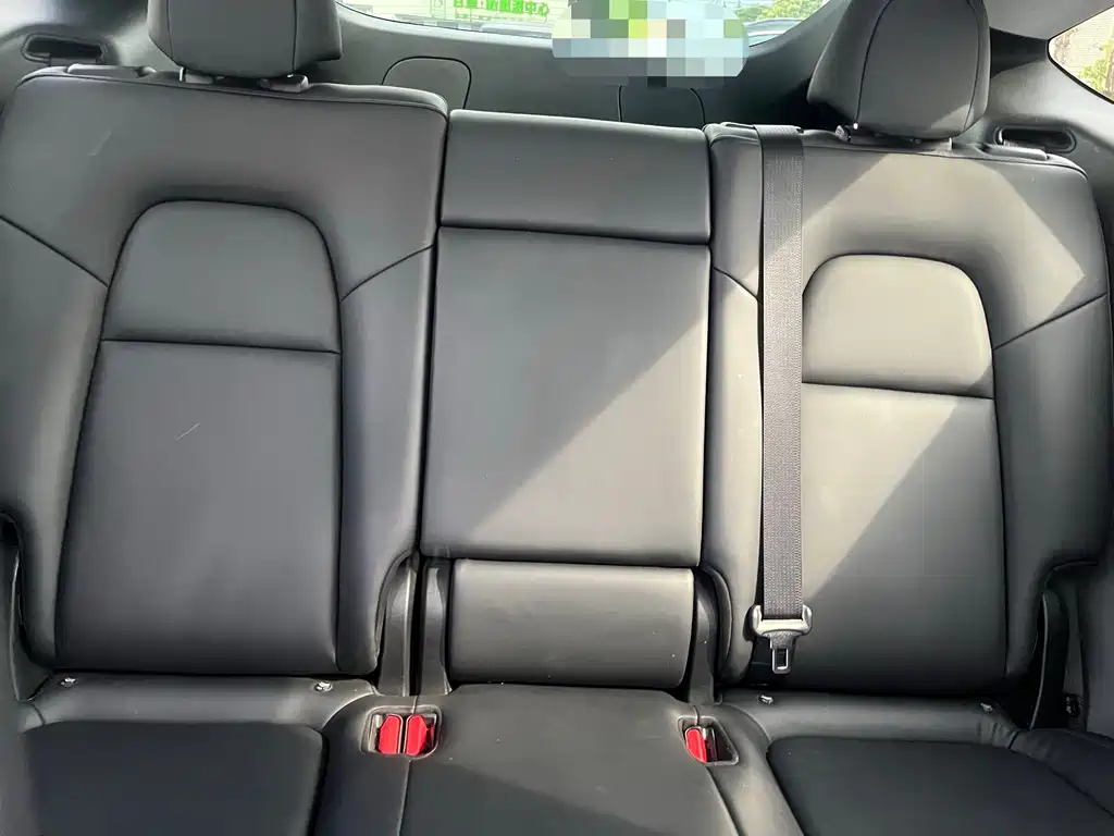 Tesla Model Y — миниатюра 5