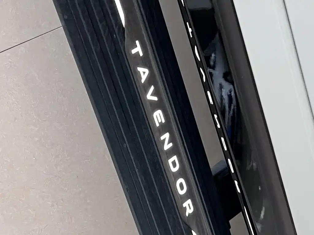 Volkswagen Tavendor — миниатюра 21