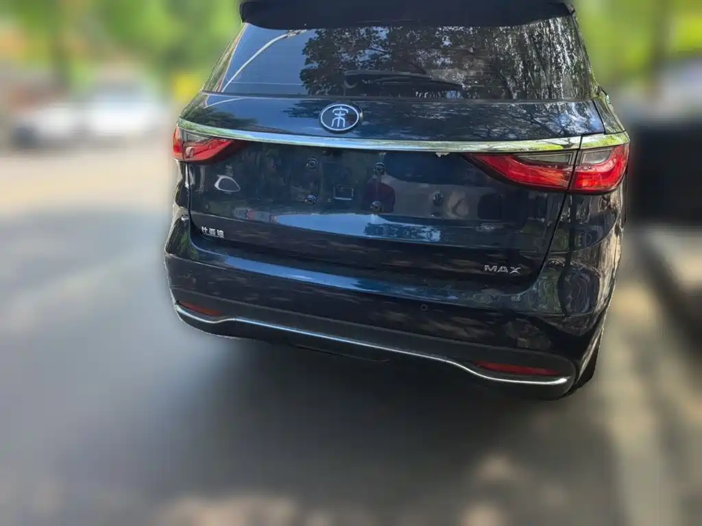 BYD MAX — миниатюра 3