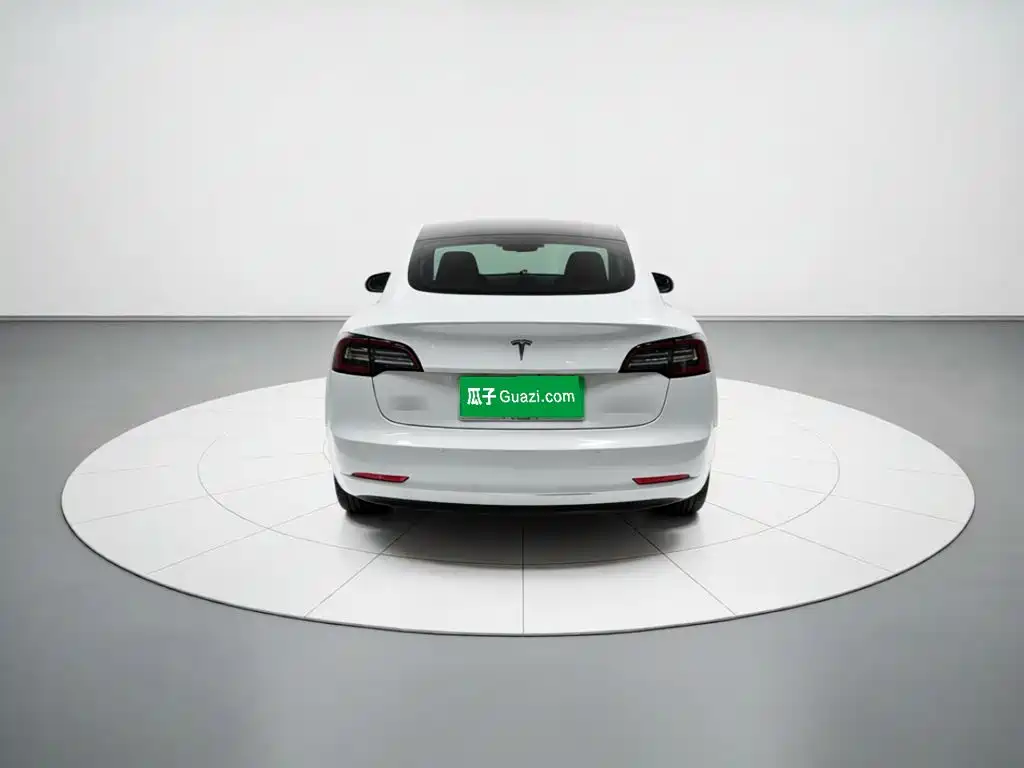 Tesla Model 3 — миниатюра 5