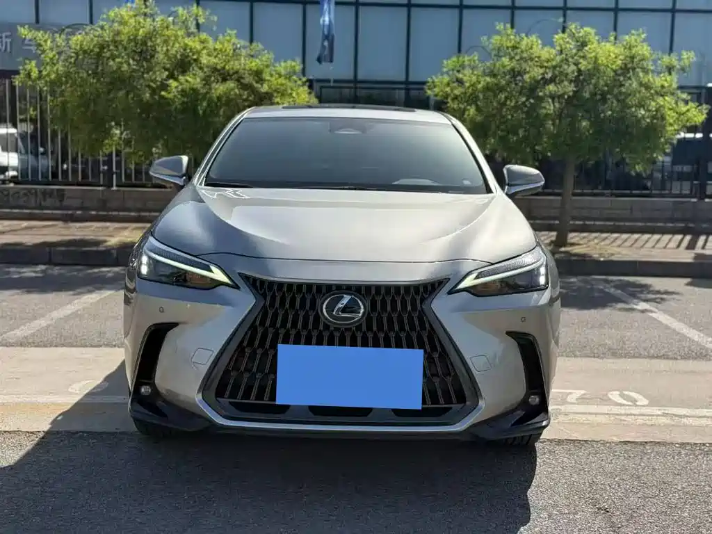 Lexus NX — миниатюра 2