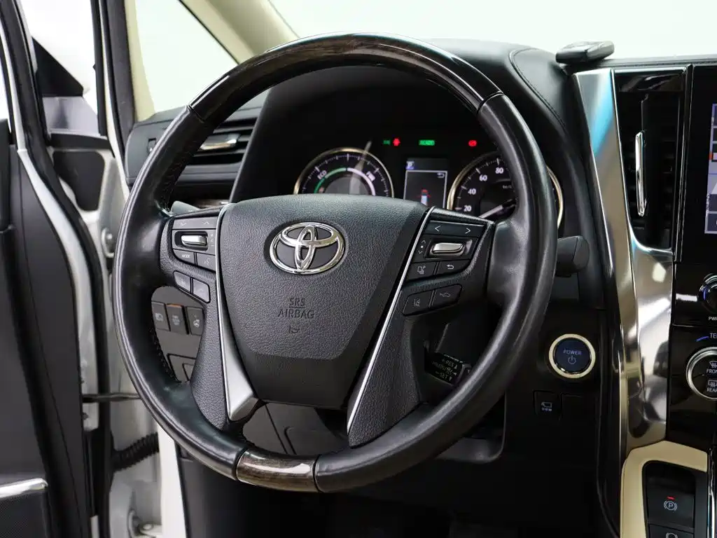 Toyota Alphard — миниатюра 16
