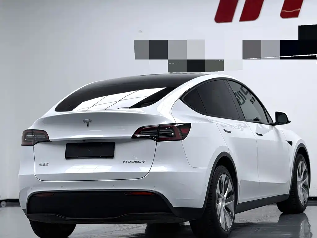Tesla Model Y — миниатюра 6