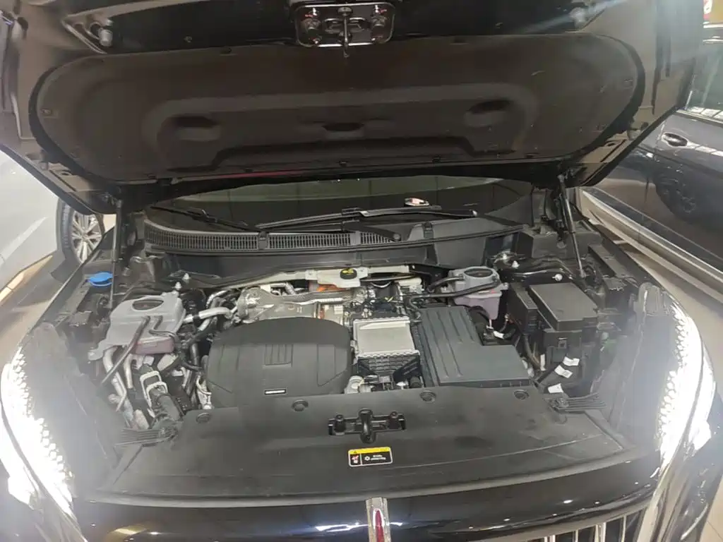 Hongqi Hongqi HS3 PHEV — миниатюра 20