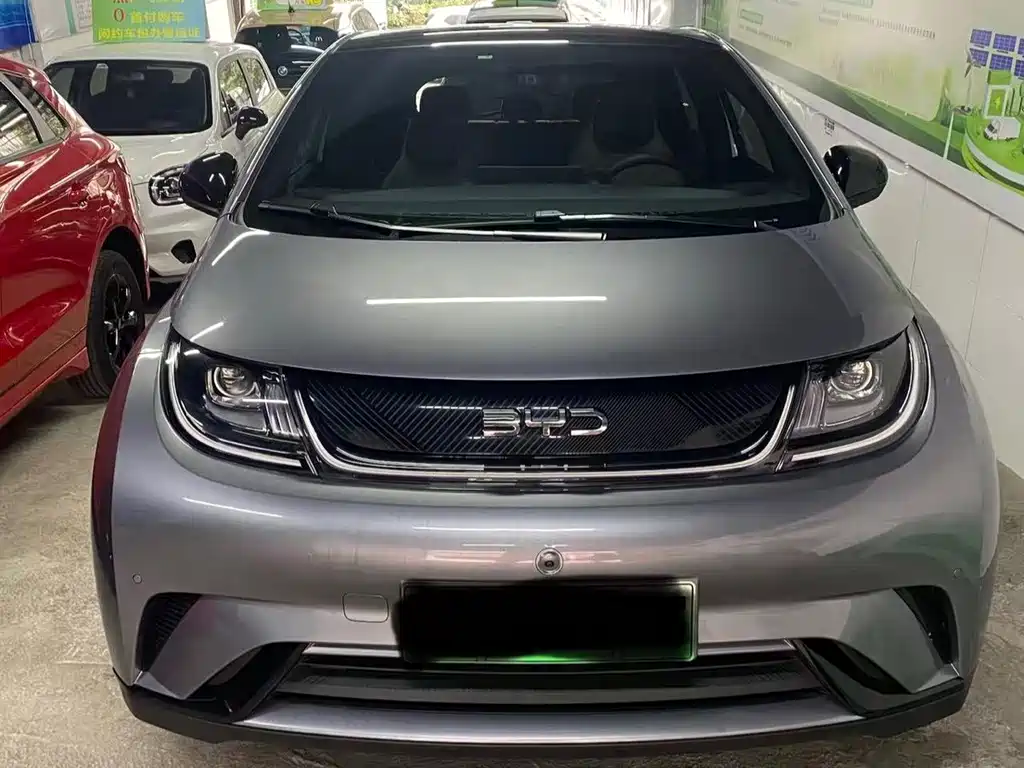 BYD Dolphin — миниатюра 2