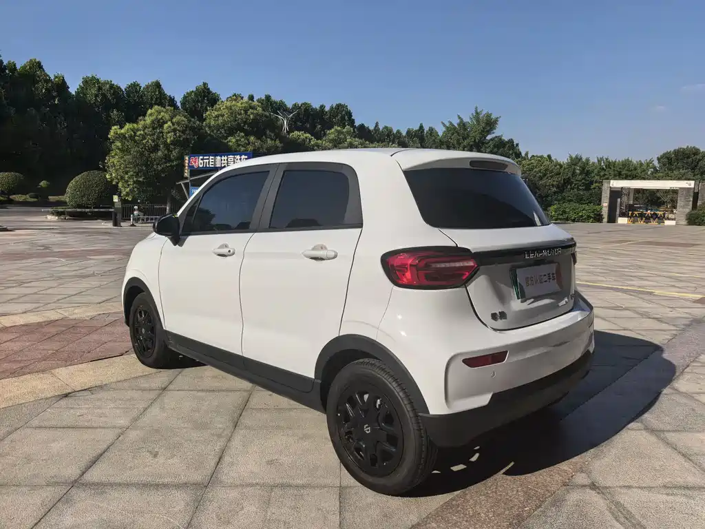 Leapmotor T03 2025 310