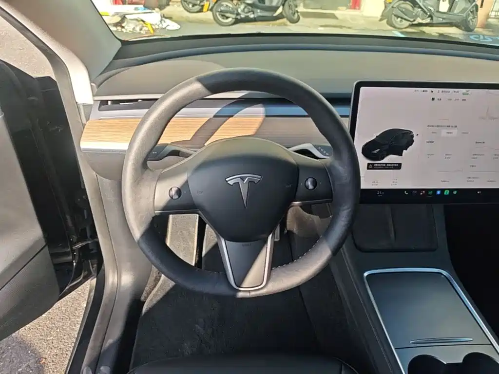 Tesla Model Y — миниатюра 11