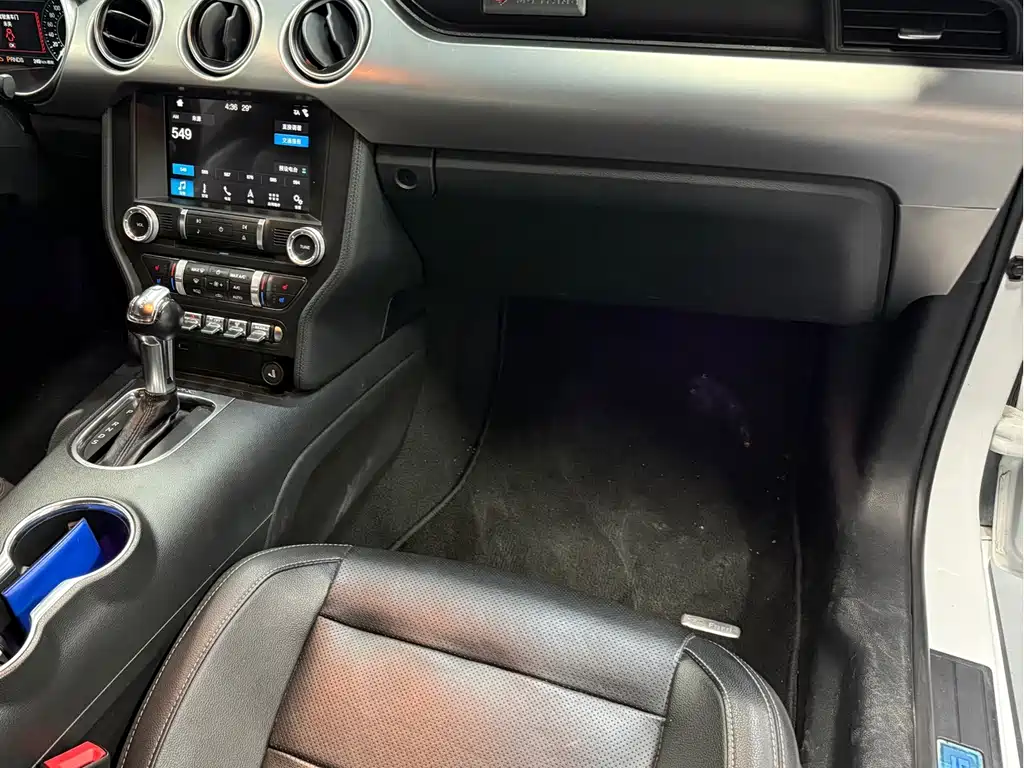 Ford Mustang — миниатюра 7