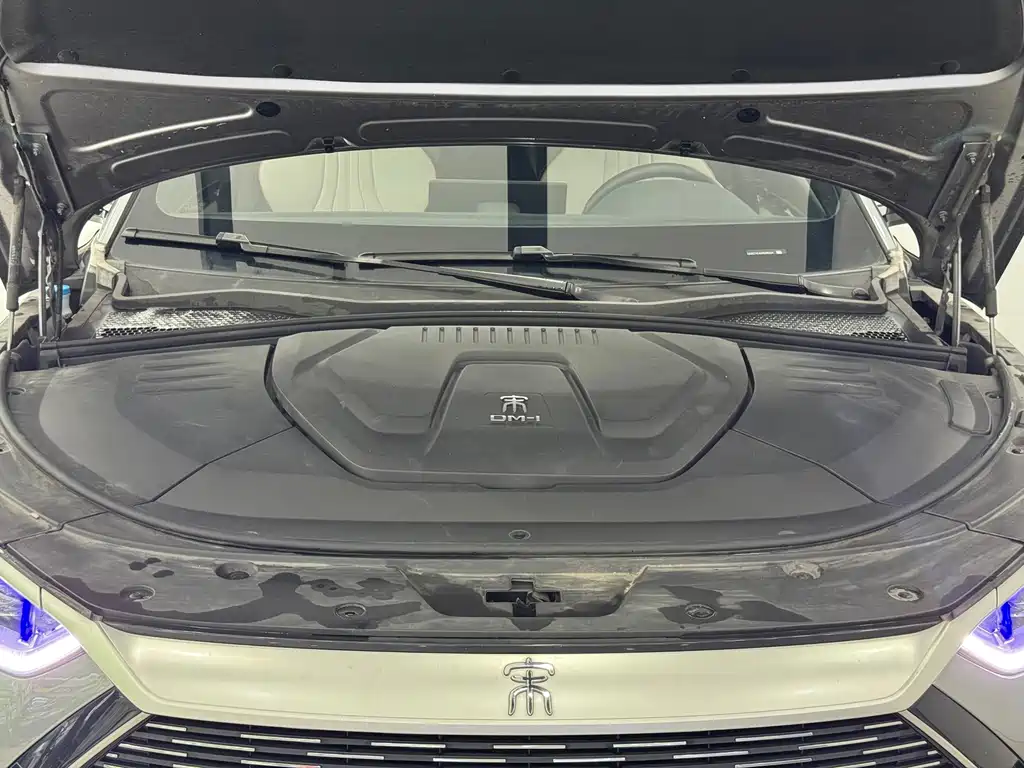 BYD PLUS New Energy — миниатюра 4