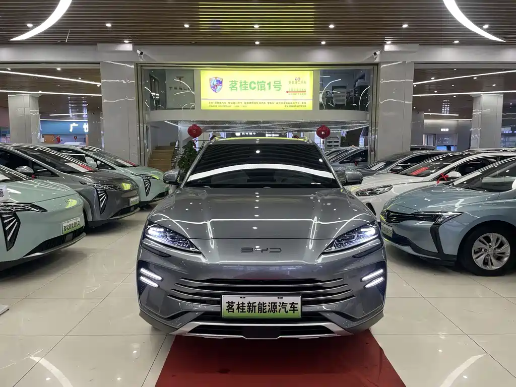 BYD SONGJIANG NEW ENERGY