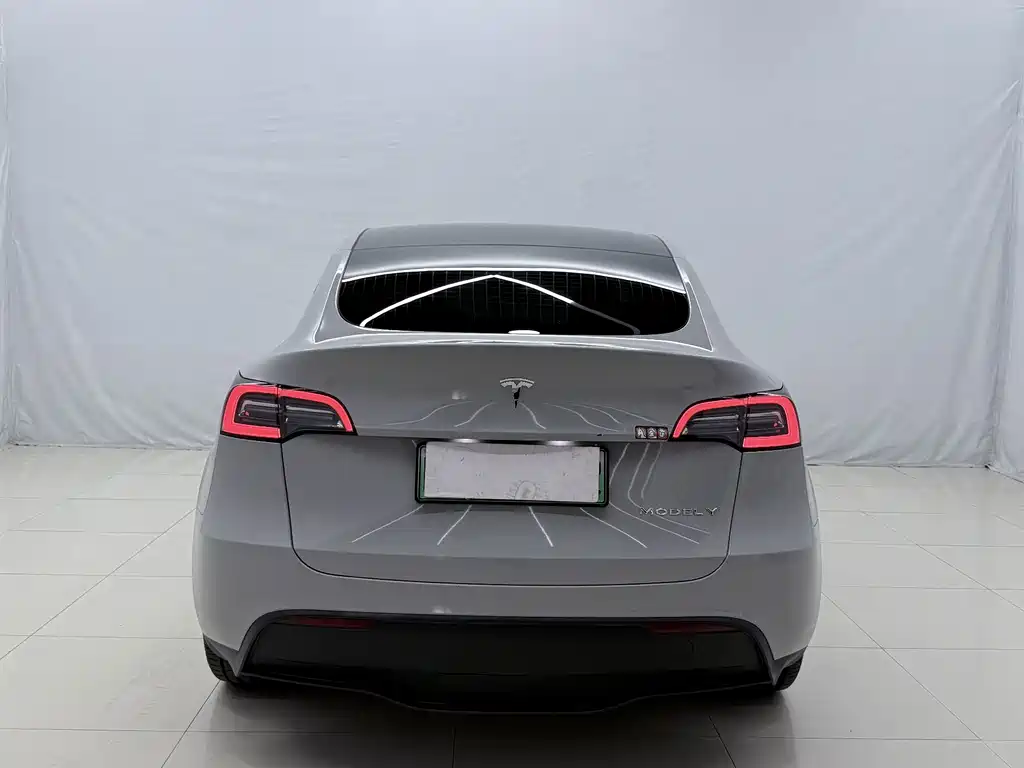 Tesla Model Y — миниатюра 13