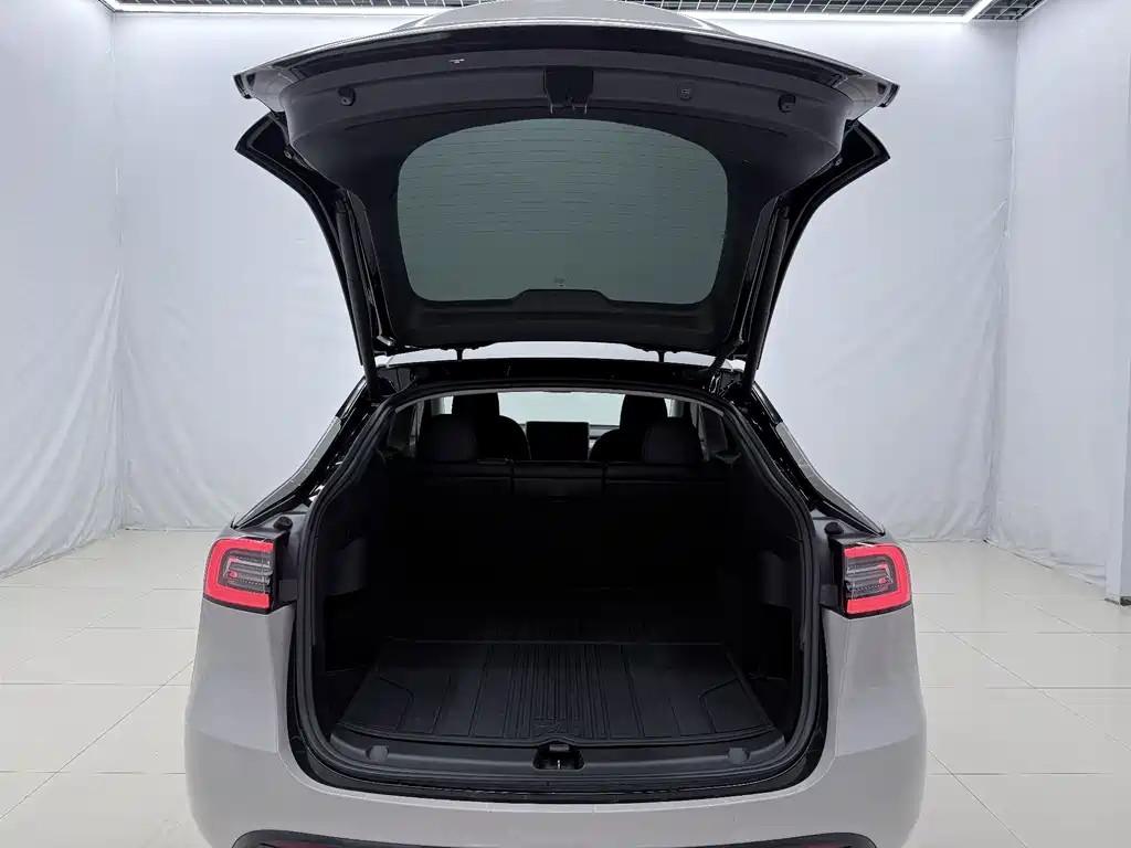 Tesla Model Y — миниатюра 15