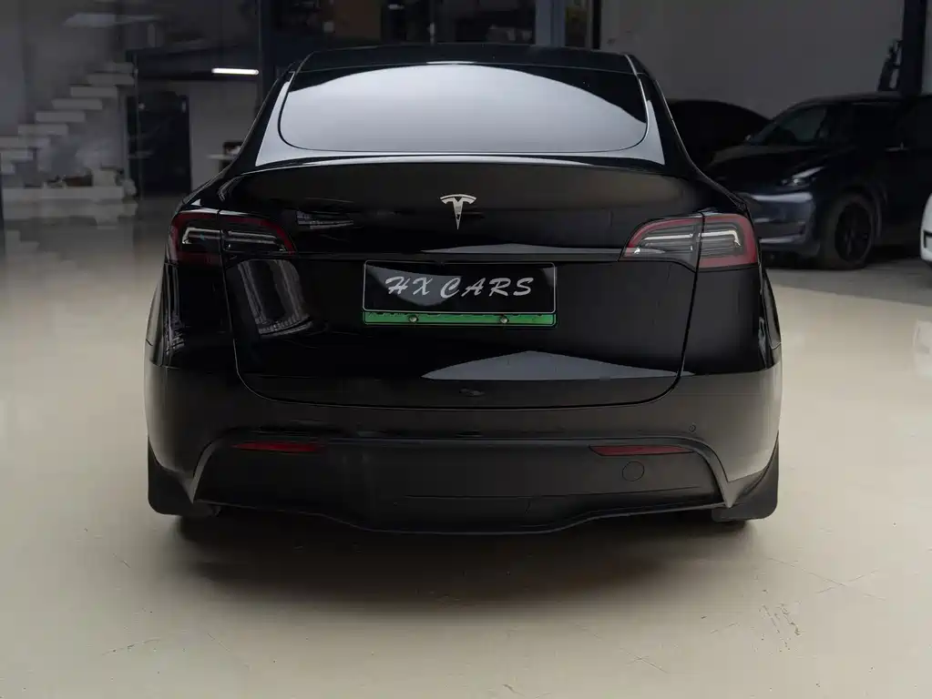 Tesla Model Y — миниатюра 6