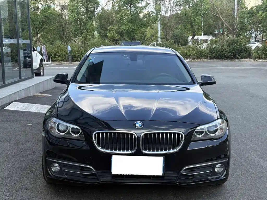 BMW 5 Series — миниатюра 2