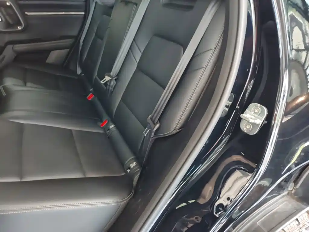 Haval Плюс новая энергия. — миниатюра 17
