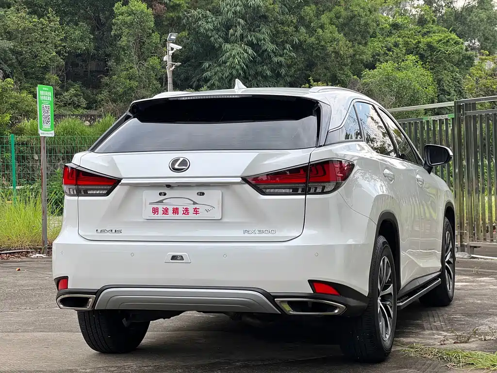 Lexus RX — миниатюра 44