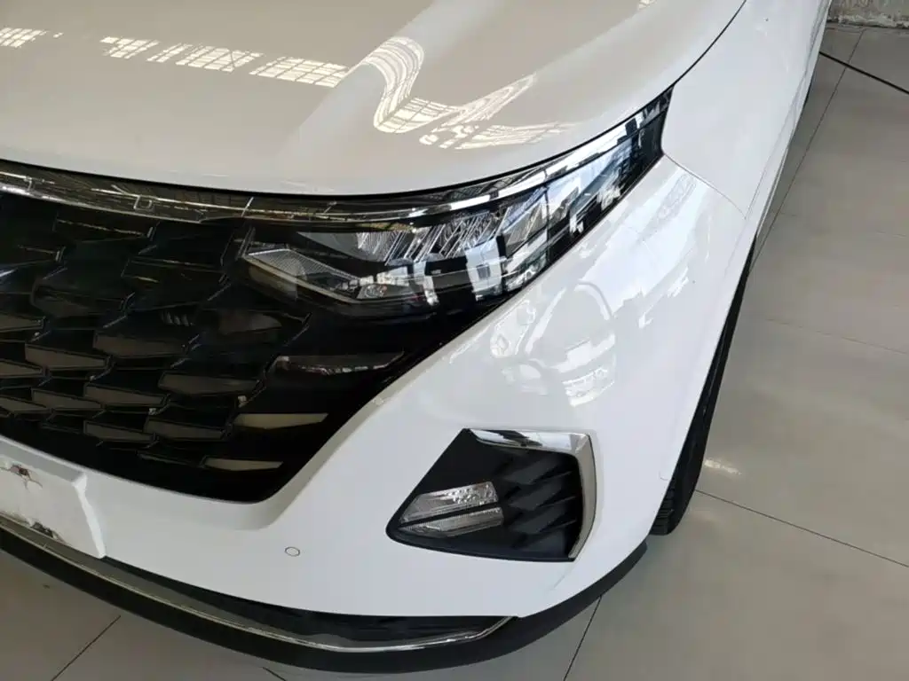 Hyundai Custo — миниатюра 24