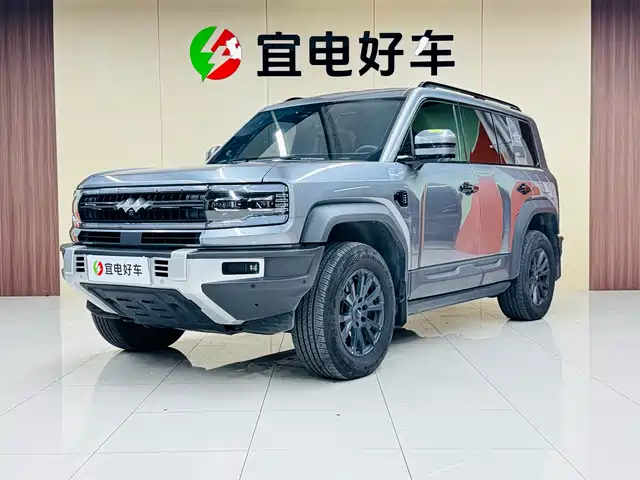 FANG CHENG BAO LEOPARD 5 2024