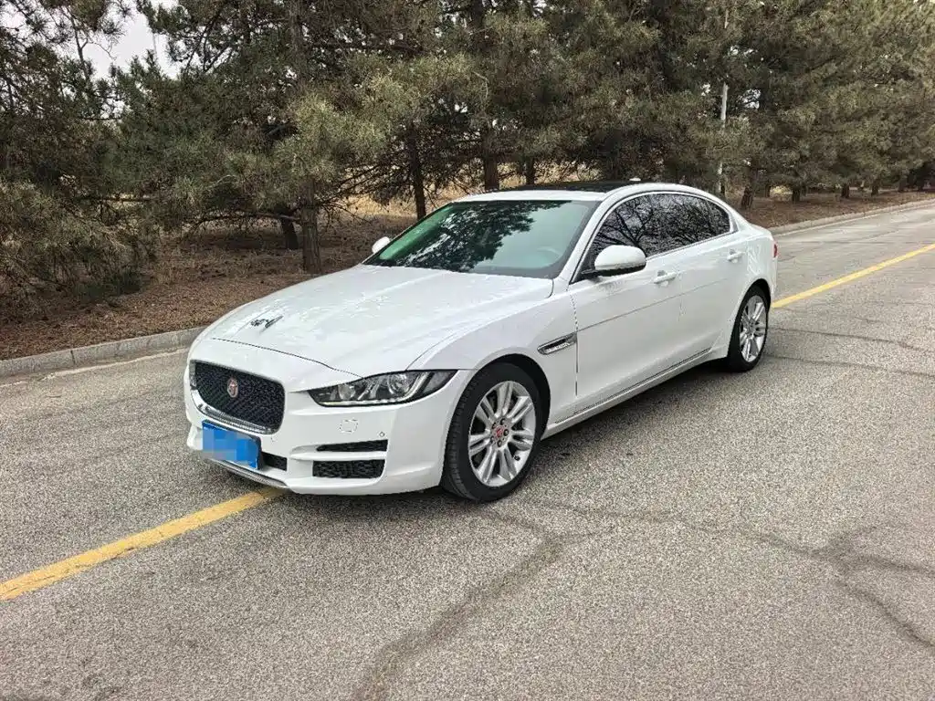 Купить Jaguar XEL
