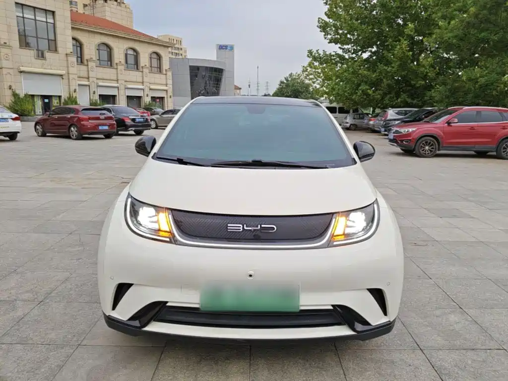 BYD Dolphin — миниатюра 3