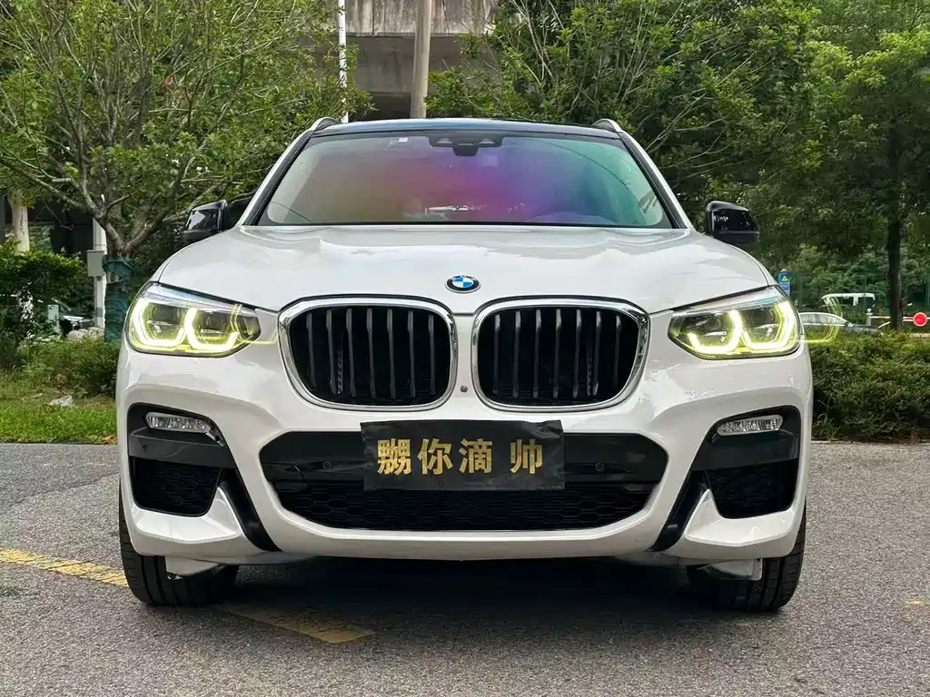 BMW X3 — миниатюра 2