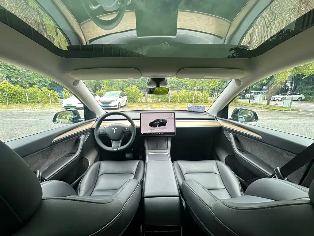 Tesla Model Y — миниатюра 7
