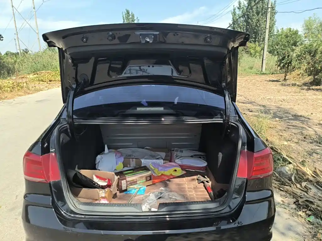 Volkswagen Santana — миниатюра 19