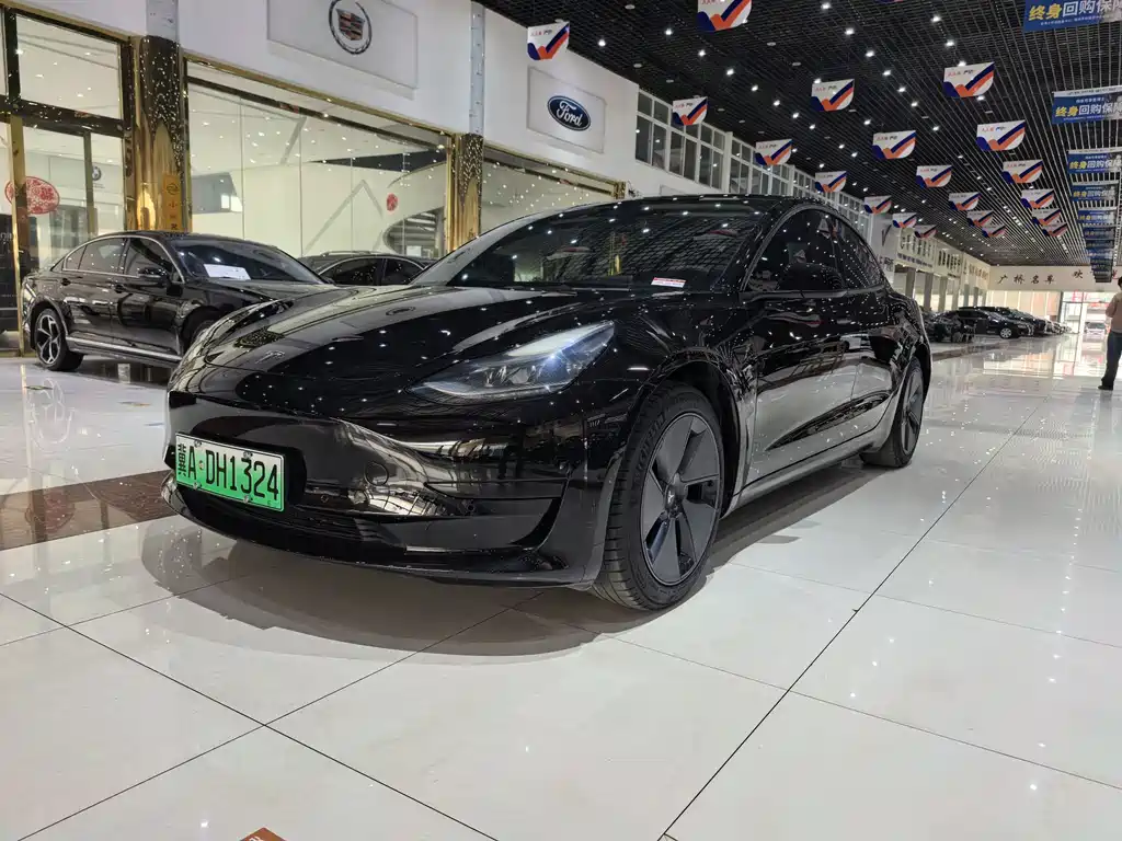 Tesla Model 3 2021