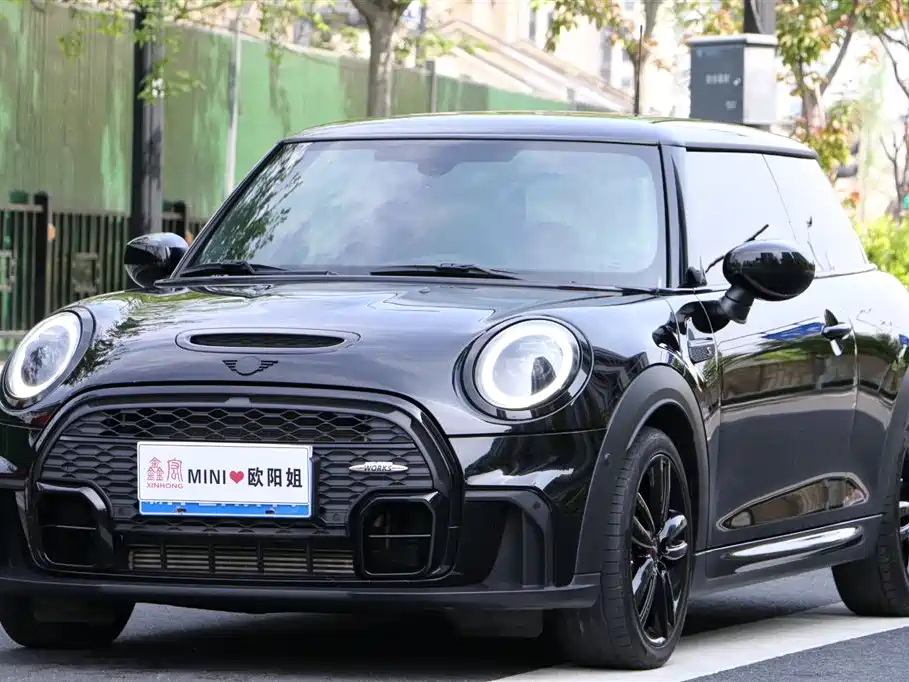 Mini Mini 2022