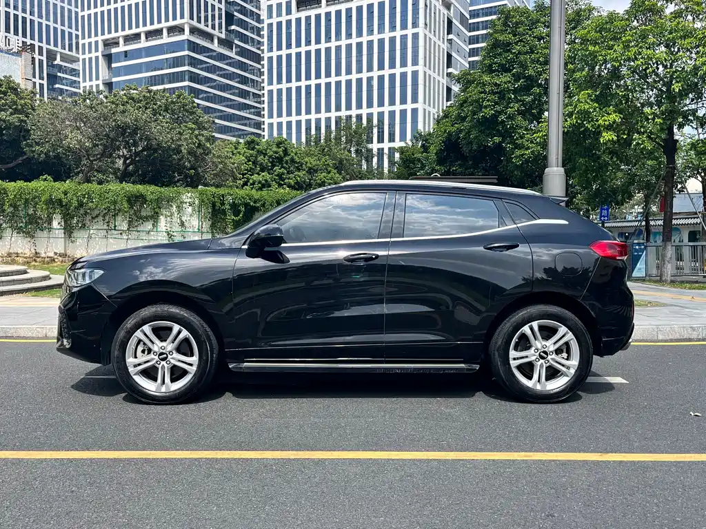 WEI PAI WEI BRAND VV5