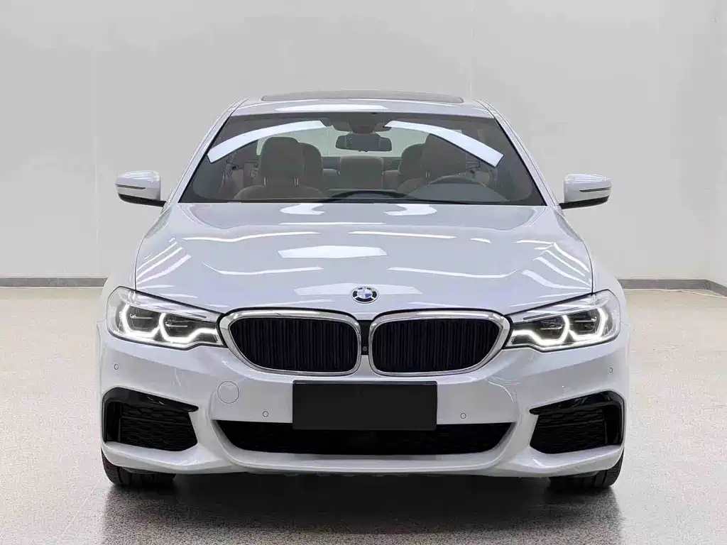 BMW 5 Series 5 2020 530Li Lead M Sport