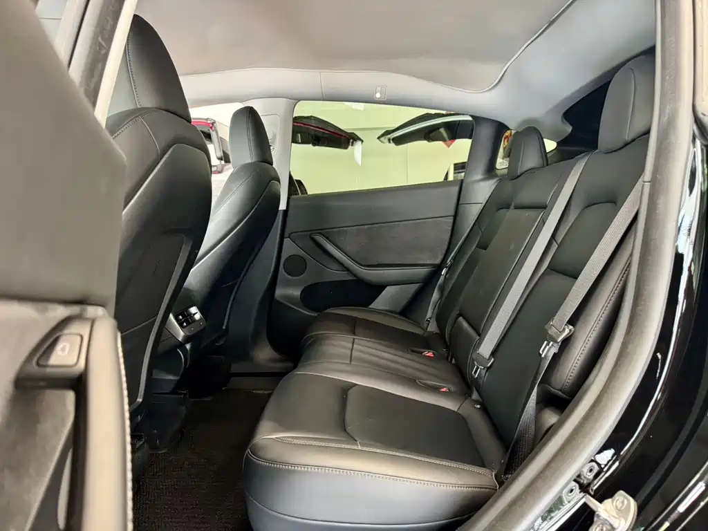 Tesla Model Y — миниатюра 6