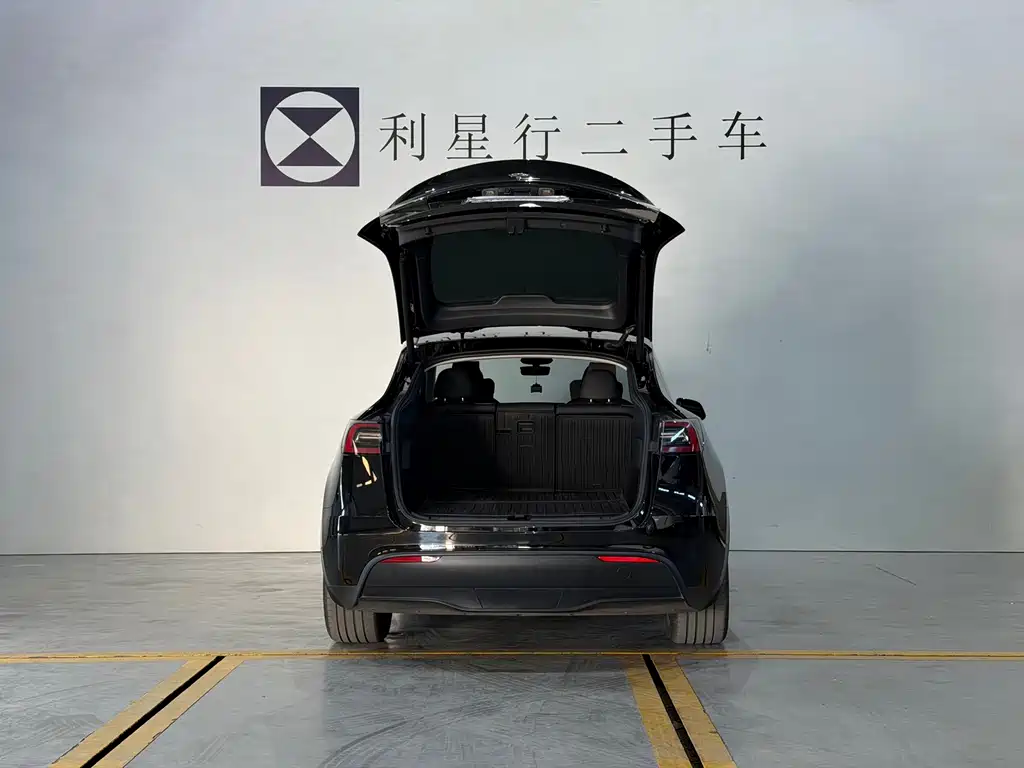 Tesla Model Y — миниатюра 13