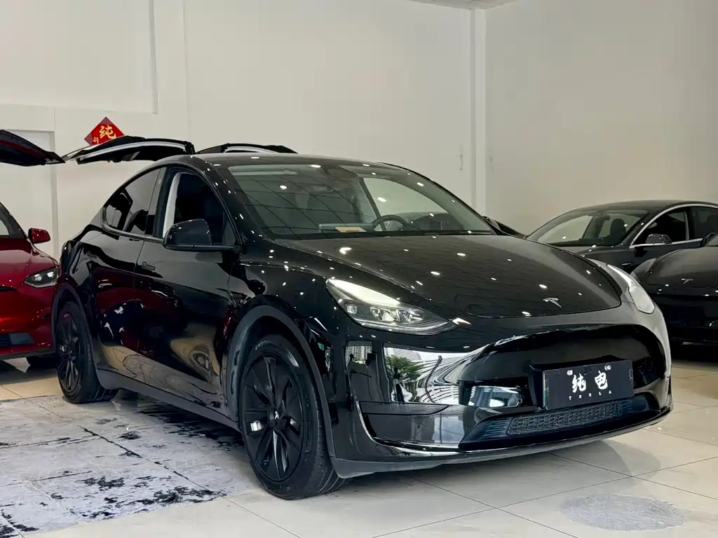 Tesla Model Y — миниатюра 3