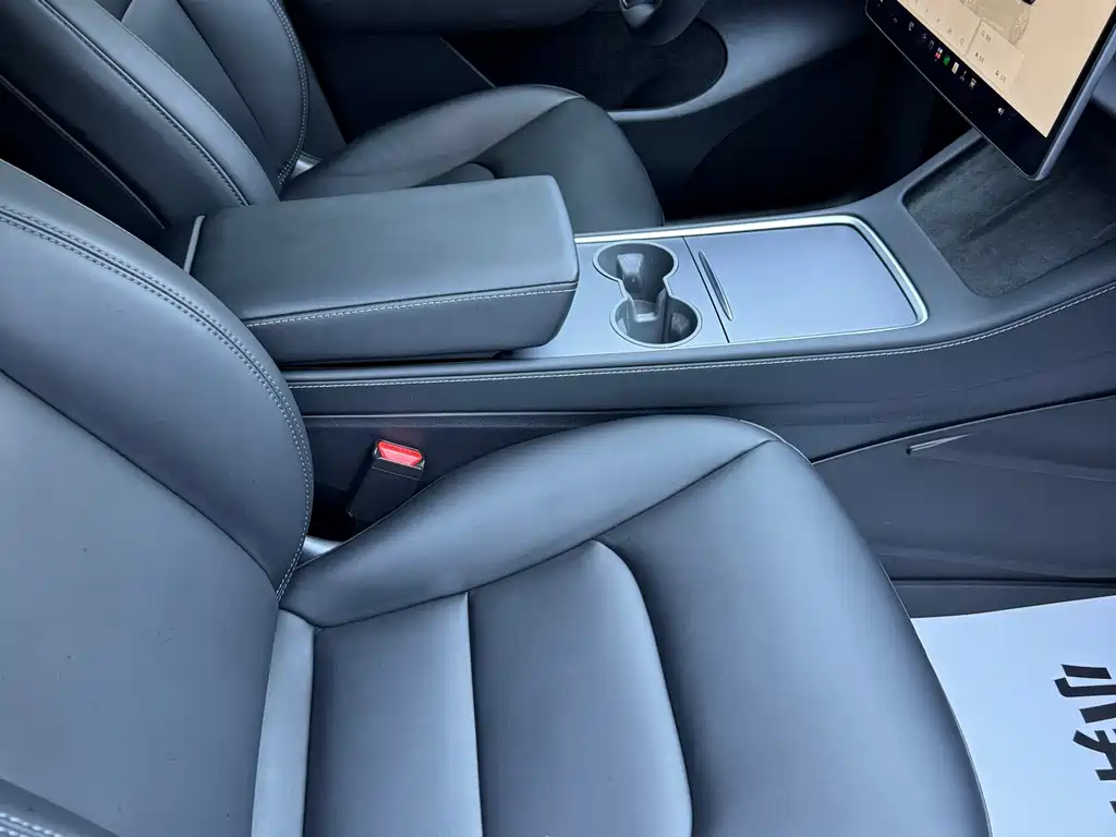 Tesla Model Y — миниатюра 6